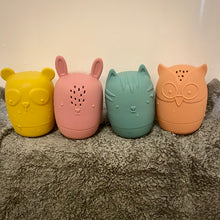 Load image into Gallery viewer, Silicone Bath Toy Set